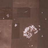 nani IRO Kokka Japanese Fabric microcosmos Sateen - B - 50cm